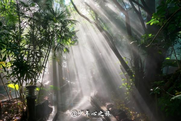 虎父无犬子贤相伊陟的告诫：正身做好自己，见怪不怪，其怪自败